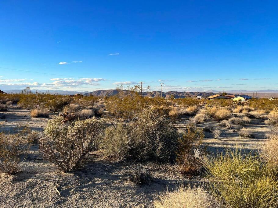Joshua Tree National Park - Cozy Palms Getaway Lejlighed Twentynine Palms Eksteriør billede