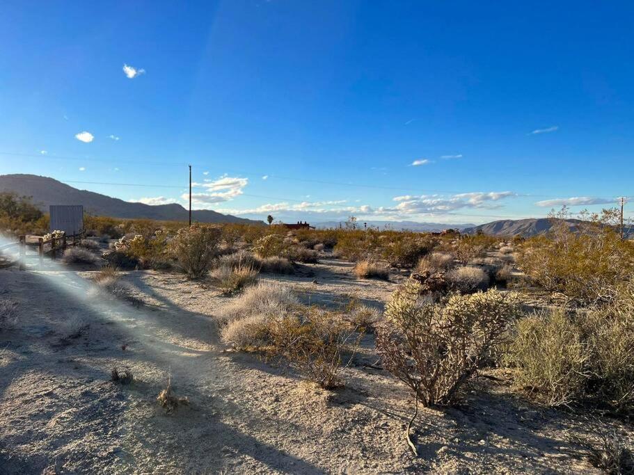 Joshua Tree National Park - Cozy Palms Getaway Lejlighed Twentynine Palms Eksteriør billede